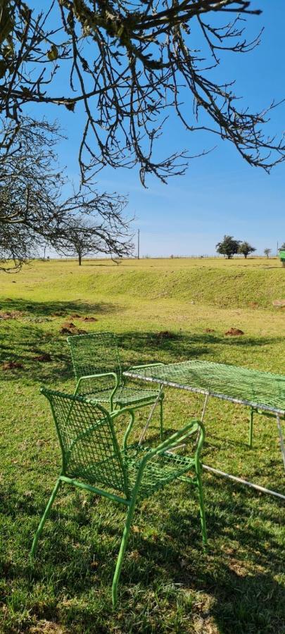 Green Thumb Farm Stay エルメロ エクステリア 写真